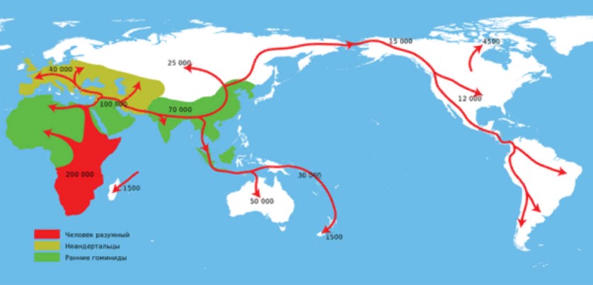 карта миграции
