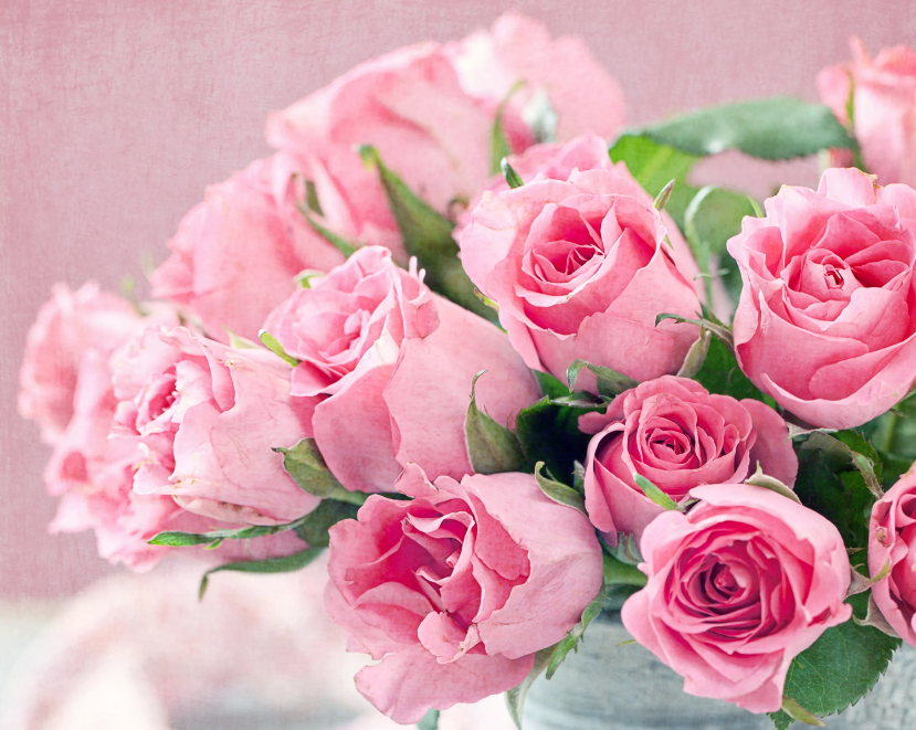 розовые розы букет