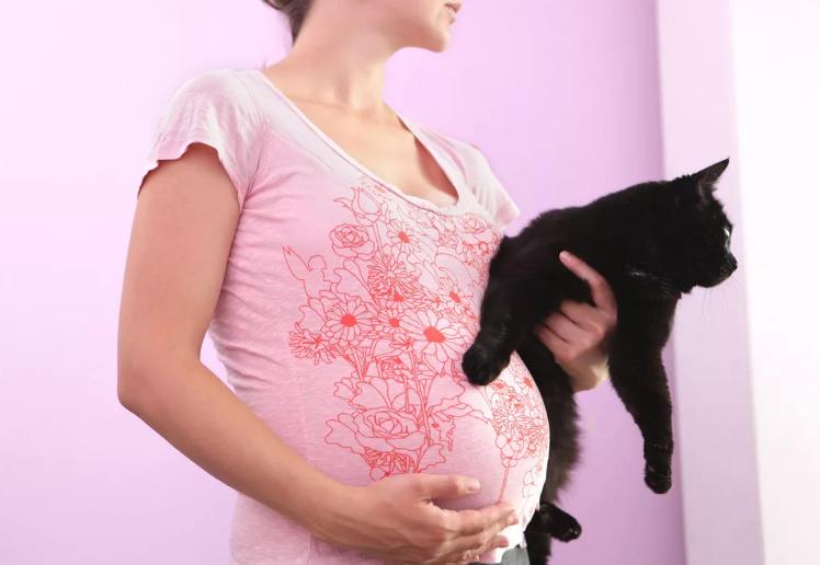 беременная женщина и кошки