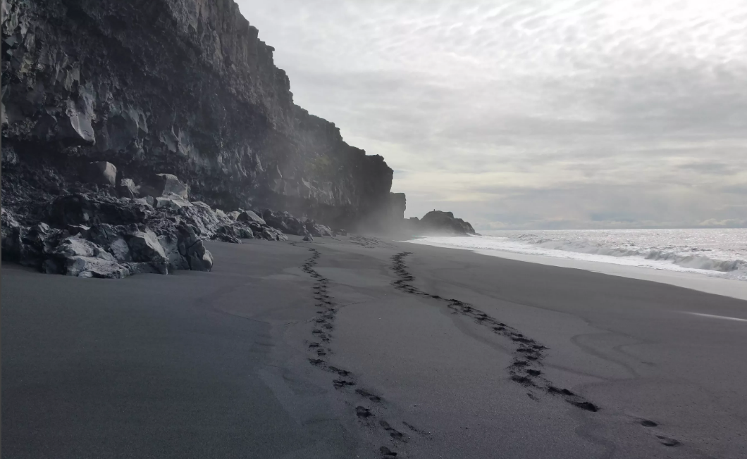 черный пляж вик исландии и море