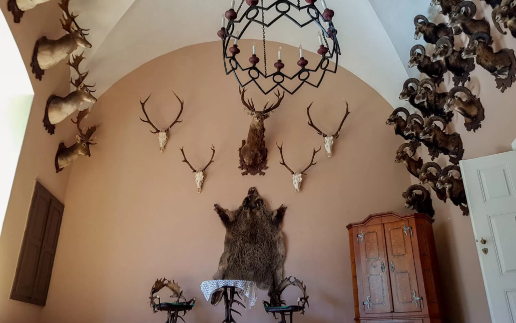 Охотничий зал в замке Гоуска в Чехии.