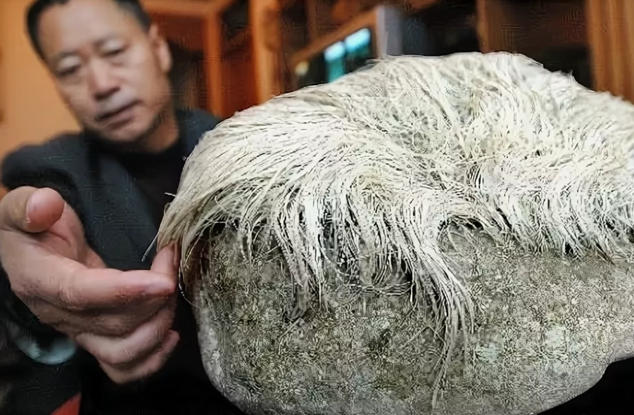 волосатый камень в Китае