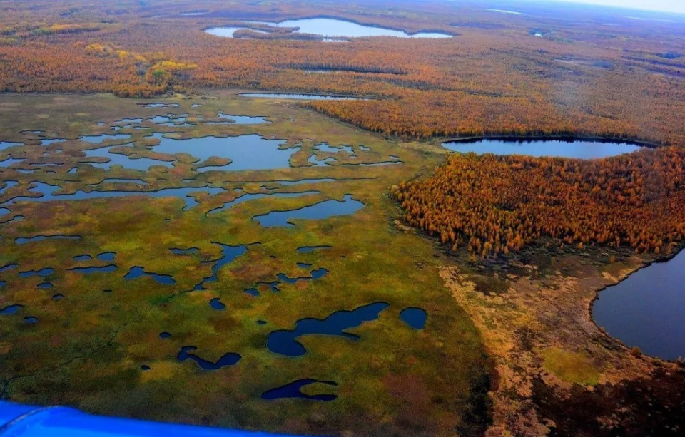 Васюганские болота осенью с озерами
