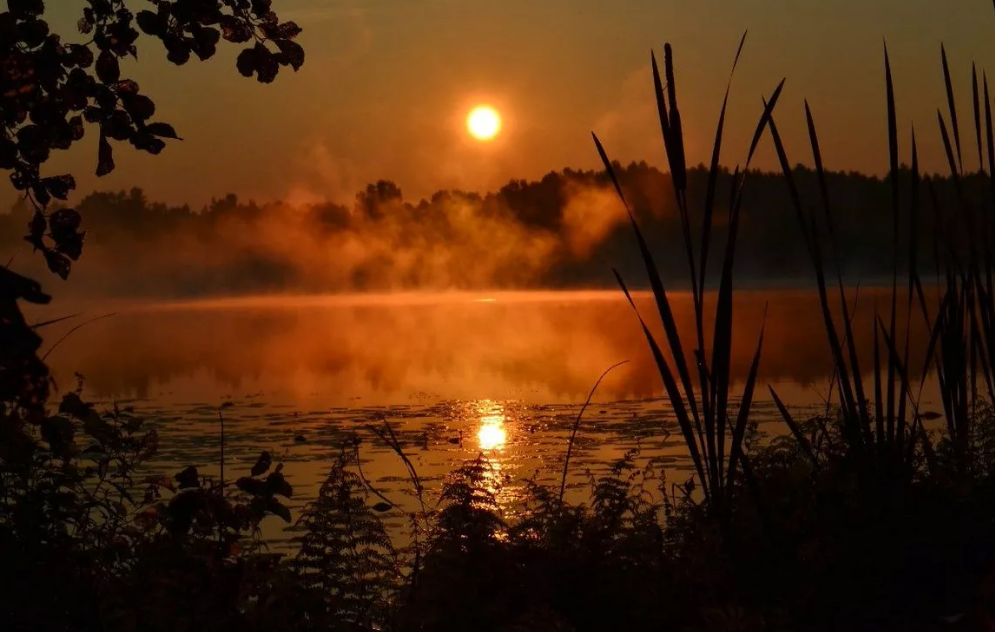 озеро Светлояр вечером в Нижегородской области