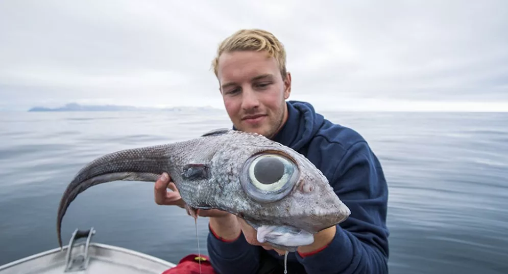 чудо рыба поймана в норвегии с огромными глазами